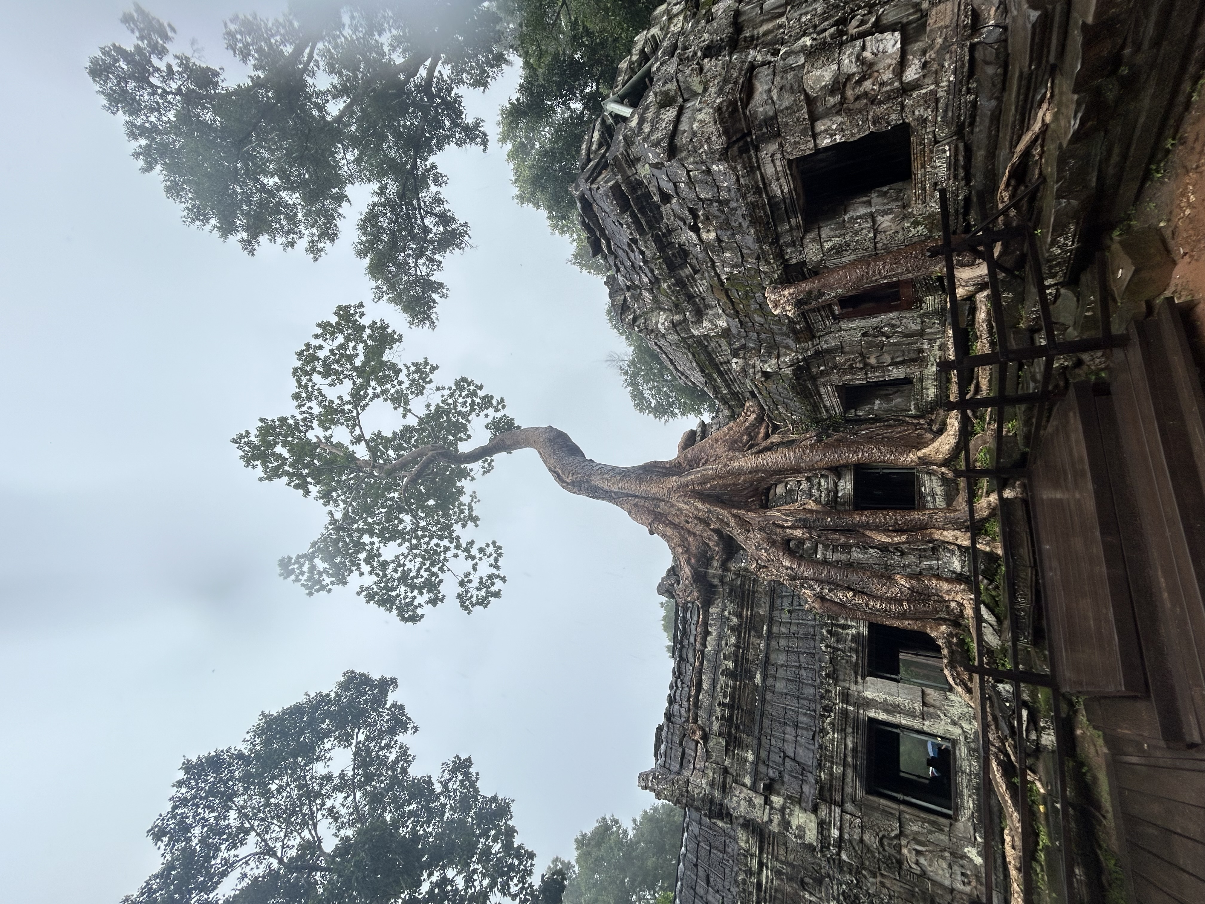 Ta Prohm