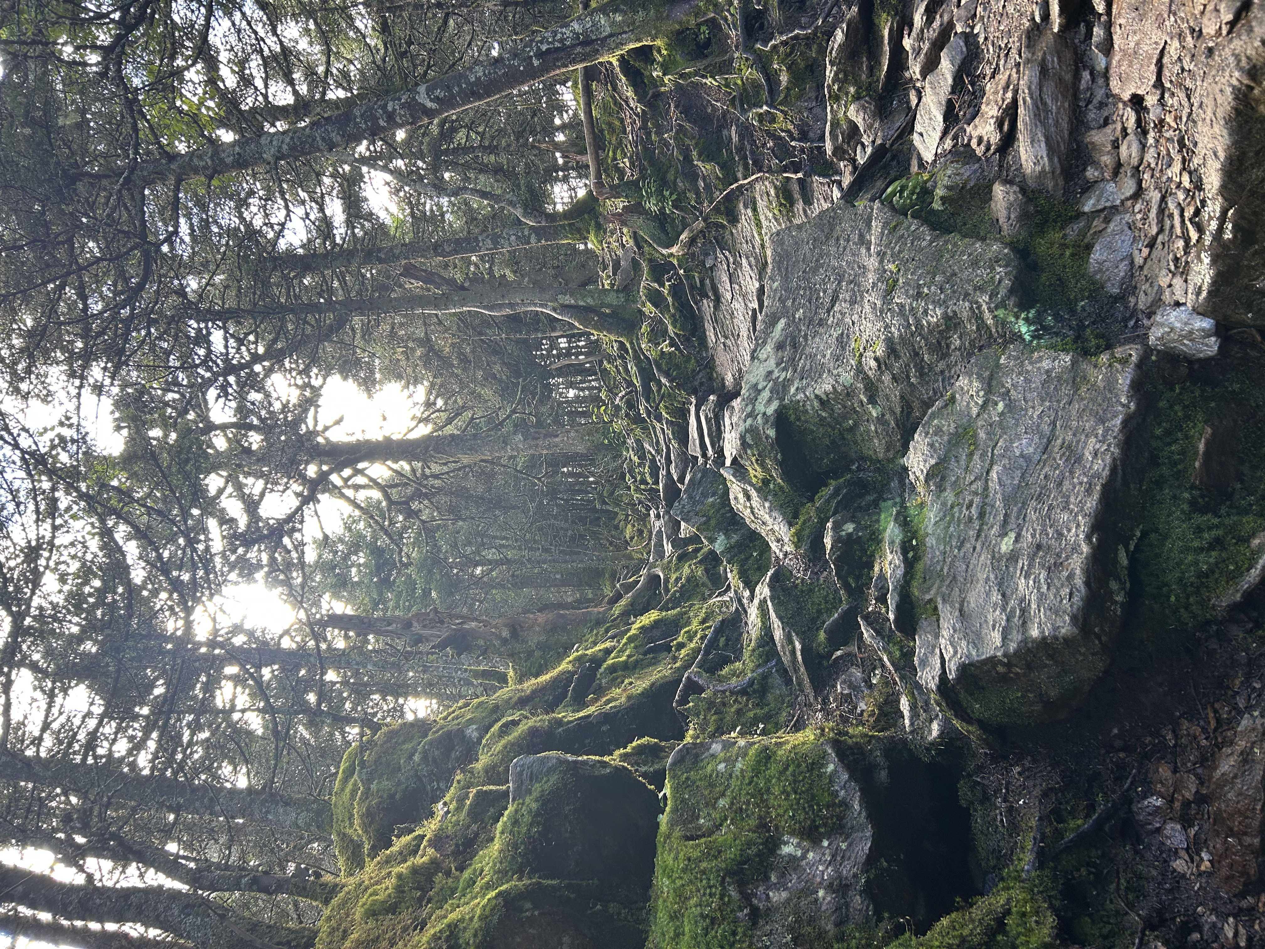 other interests photo 1